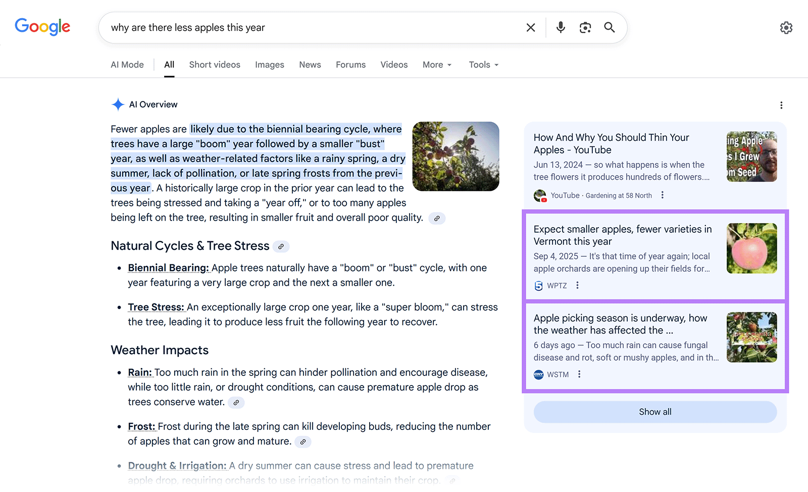Google search for "why are there less apples this year" with news results box highlighting apple crop stories.