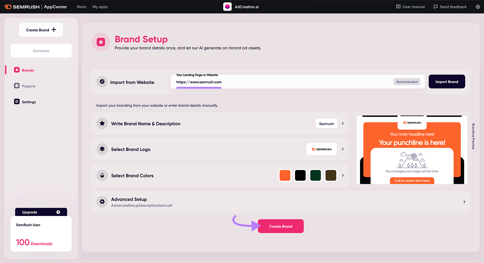 Brand setup screen with fields to import a website, enter branding, and create a branded ad kit.